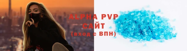 крисы Баксан