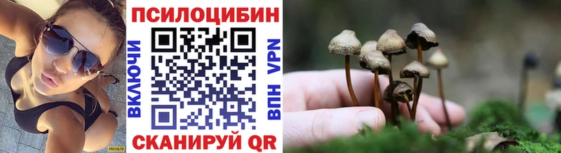 Псилоцибиновые грибы мухоморы  blacksprut ONION  нарко площадка Telegram  Бор 