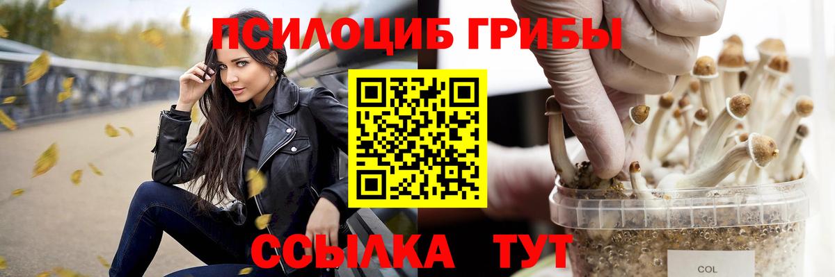 Галлюциногенные грибы MAGIC MUSHROOMS  Галлюциногенные грибы Psilocybe  Бор  Вход с VPN 
